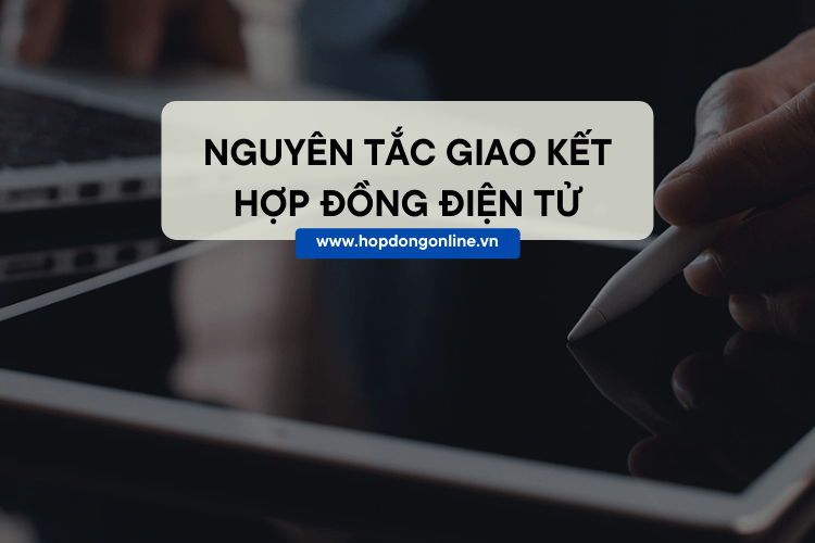 nguyen-tac-va-quy-trinh-giao-ket-hop-dong-dien-tu